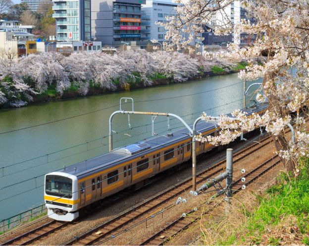 市ヶ谷エリアの緑と水辺